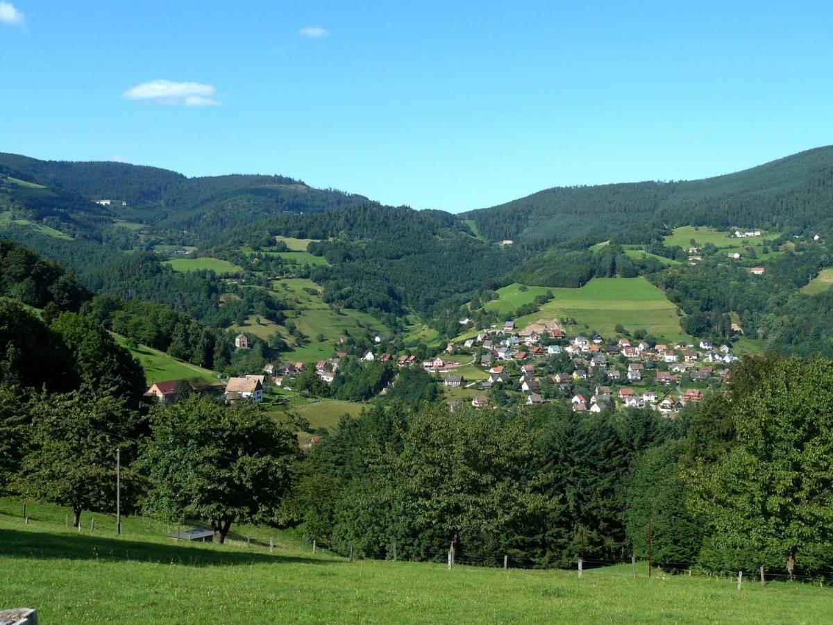 Chalet De Freland Fréland Quarto foto